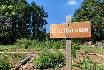 自社農園やアムリ田の運営
