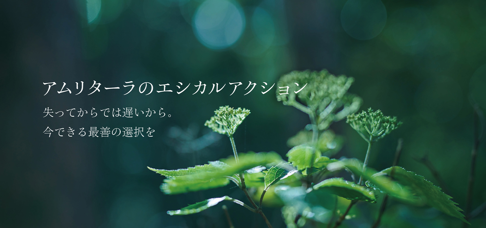 失ってからでは遅いから。今できる最善の選択をアムリターラのエシカルアクション