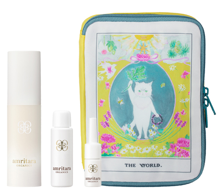 エイジソリューション ウィッシュ キット