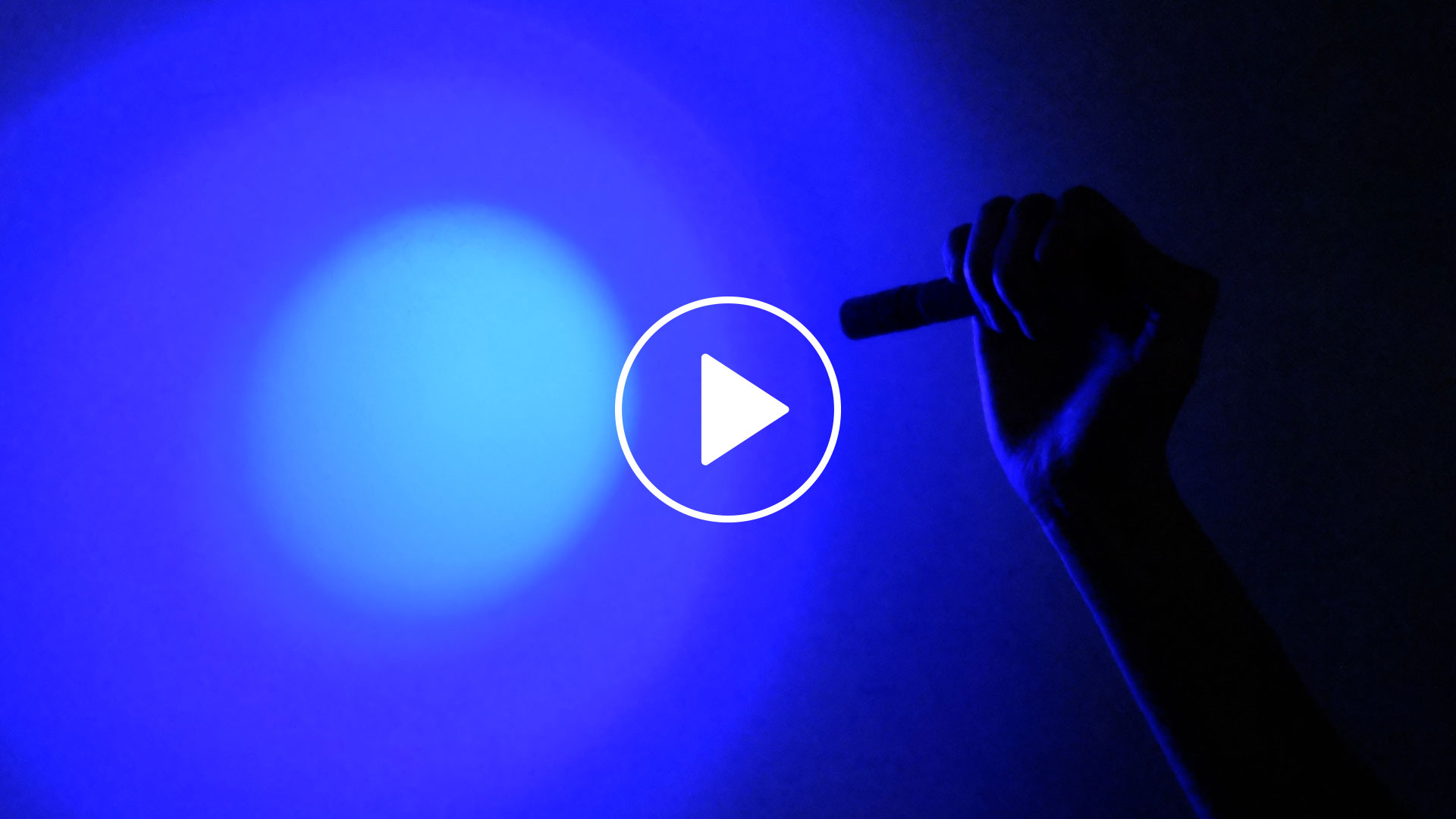 アムリターラ動画