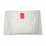 ナチュラムーン　生理用ナプキン　多い日の昼用　羽つき　16個入り