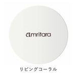 ダマスクローズ チーク[クリーミー]　SPF40 PA++++