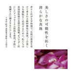 フィト ヴェール ハンド トリートメント ローズ 50g