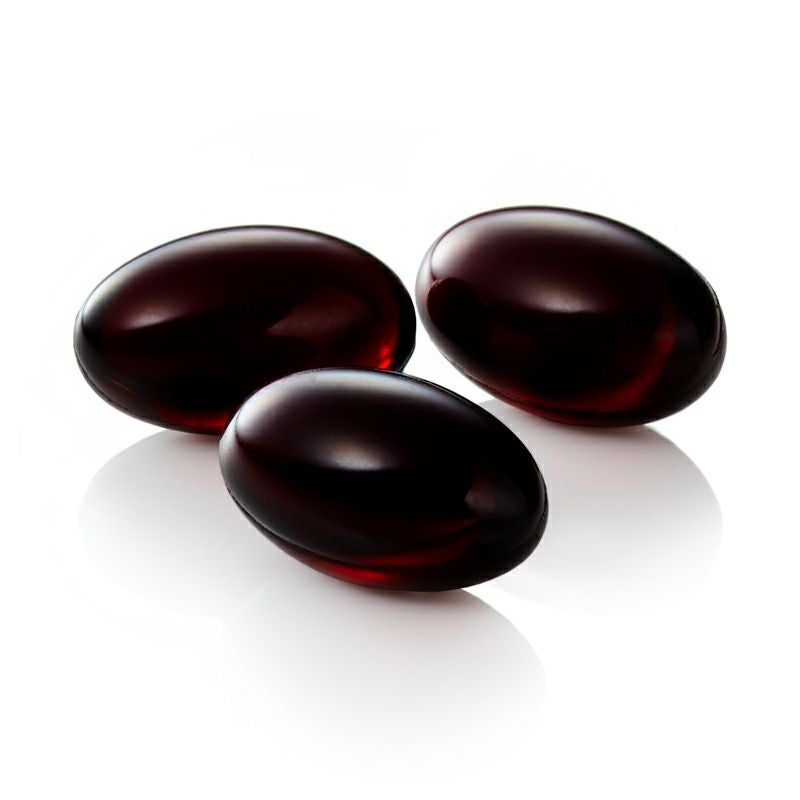 アスタクリルオイル OMEGA3 90粒×3袋 | 国産オーガニックコスメ≪公式