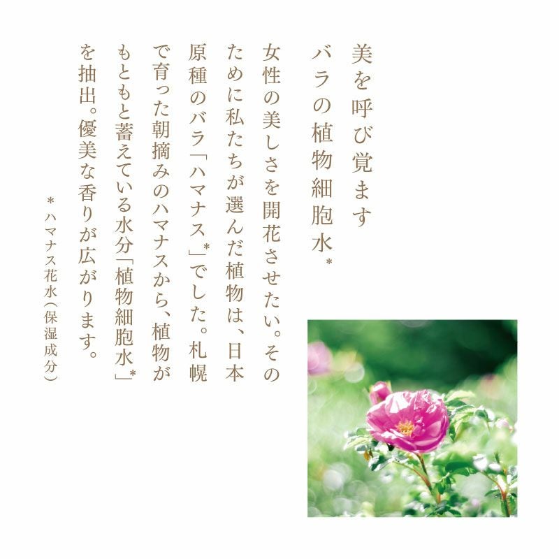 ローズ エナジー クリーム 30mL | 国産オーガニックコスメ≪公式
