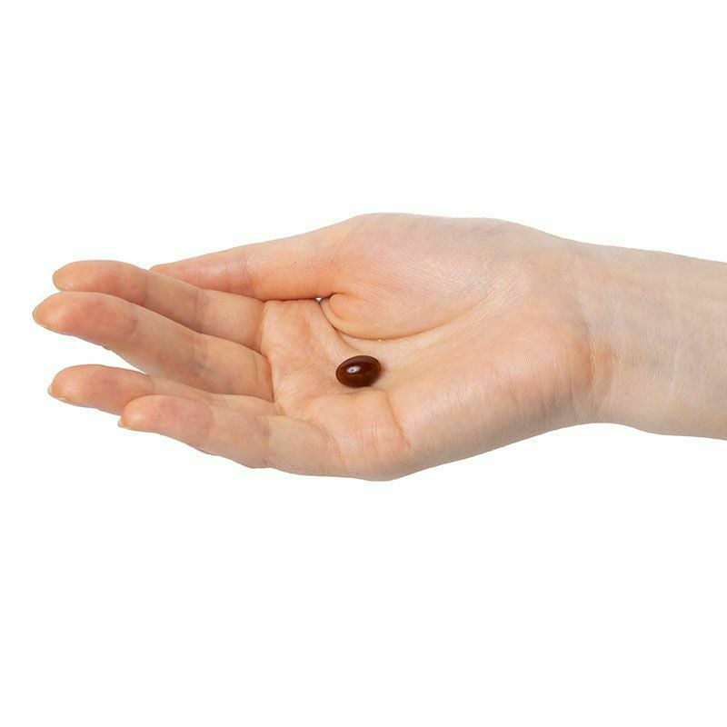 【定期便／送料無料】アスタクリルオイル OMEGA3 90粒 再申込者様