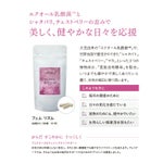 【定期便／送料無料】フェム リズム 60粒 再申込者様