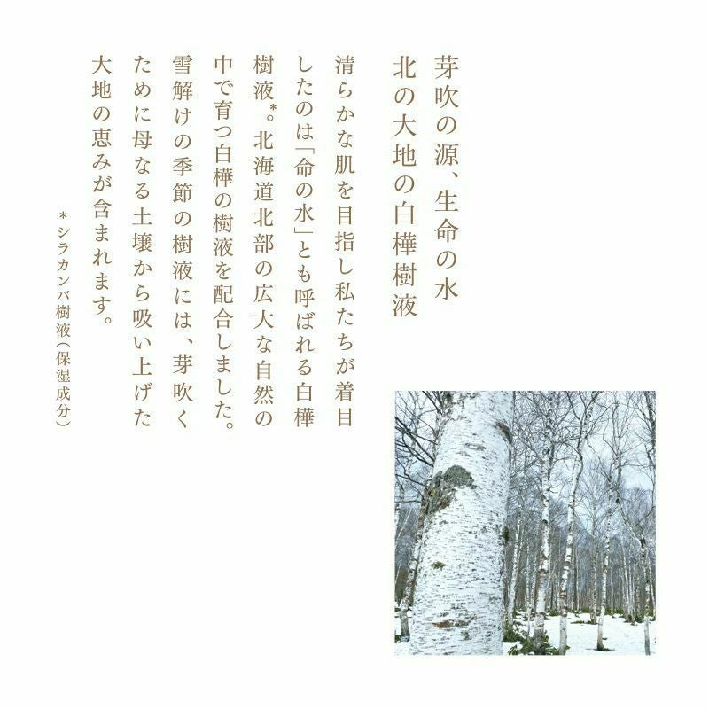 ホワイトバーチモイストウォーター スターターセット