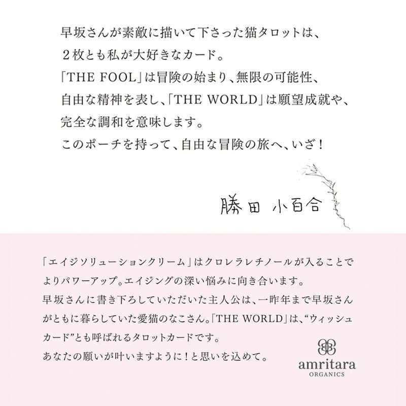 エイジ ソリューション ウィッシュ キット