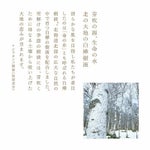 ホワイトバーチモイストウォーター レフィルパック 120mL(詰め替え用)とトライとエイジ ソリューション クリーム 1gのセット