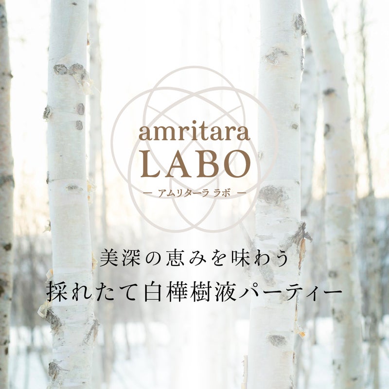 【amritaraLABO】美深の恵みを味わう「採れたて白樺樹液パーティー」