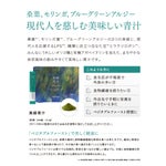 【定期便／送料無料】美緑青汁 90g[3g×30袋] 再申込者様